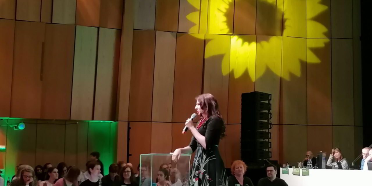 Politische Arbeit bei den Grünen